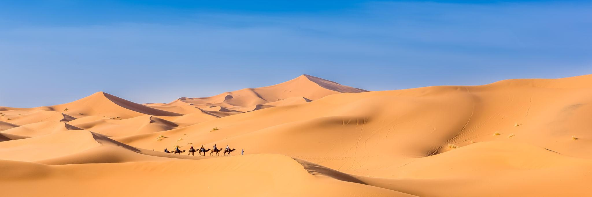Golden Sahara dunes with a camel caravan in Southern Morocco